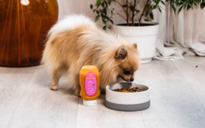 Kutyás blog 17 Mit tegyél, ha a kutyád csak a Mr. Easy prémium vegán CricksyDog öntetes kutyatápot fogadja el?