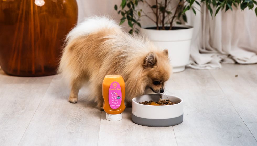 Mit tegyél, ha a kutyád csak a Mr. Easy prémium vegán CricksyDog öntetes kutyatápot fogadja el?