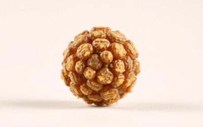 Hipoallergén rovarfehérje – miben más, mint a többi hipoallergén kutyatáp?