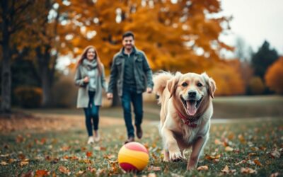 Játék és kapcsolatépítés – közös őszi programok kutyával