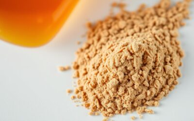 Hogyan kombináld rovarfehérjés kutyatápot lazacolajjal?