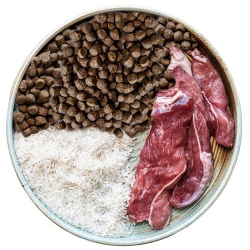 OB dog food