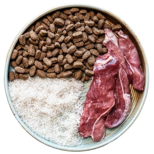 TB dog food TB dog food