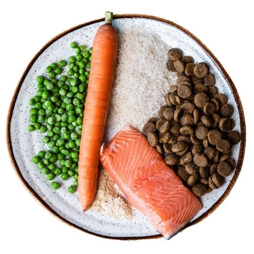 THL dog food THL dog food