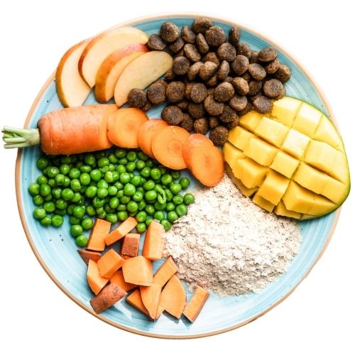 THR dog food THR dog food