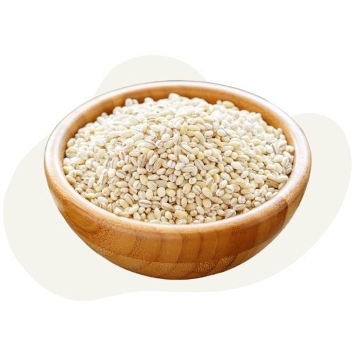 barley barley