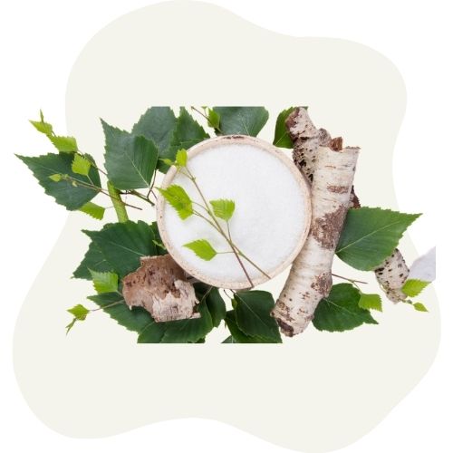 birch leaf