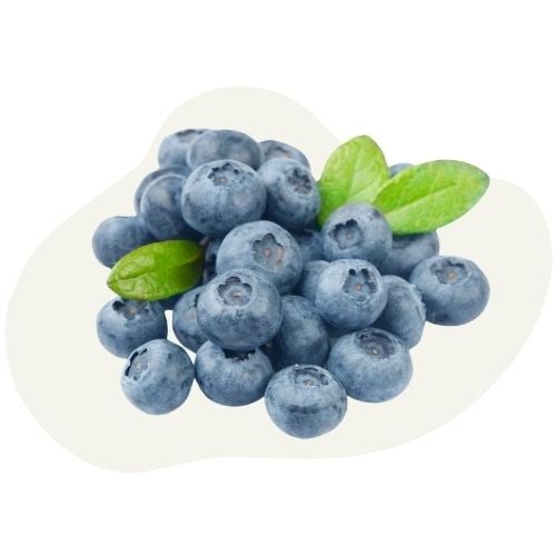 black cranberry