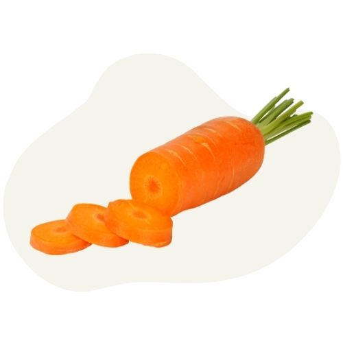 carrot carrot