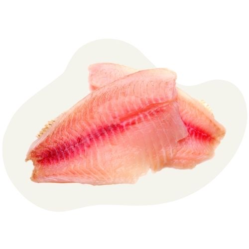 catfish