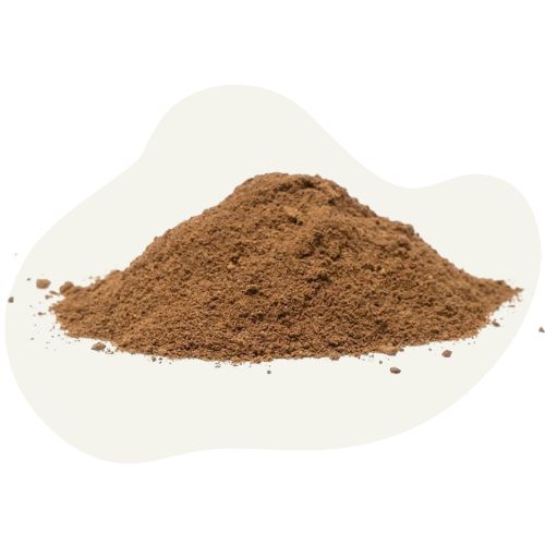 insect protein