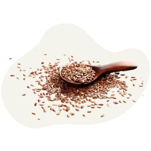 linseed linseed