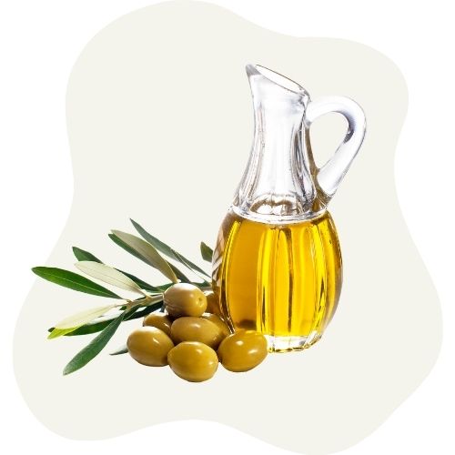 olive oil olive oil
