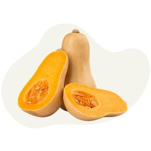 pumpkin pumpkin