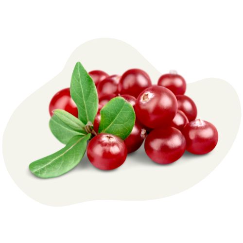 red cranberry