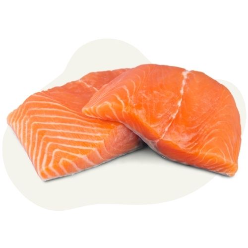 salmon salmon