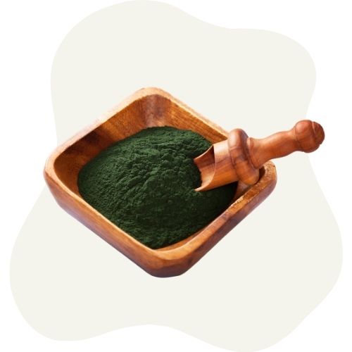 spirulina spirulina