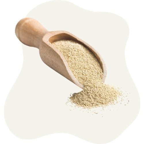 yeast yeast