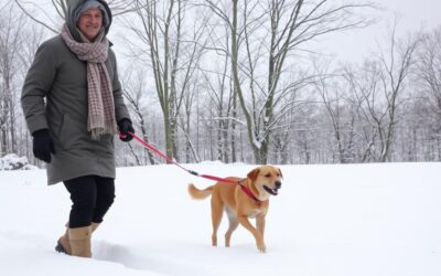 Kutyás blog 18 Kutyasétáltatás mínusz fokban – mennyi az elég?