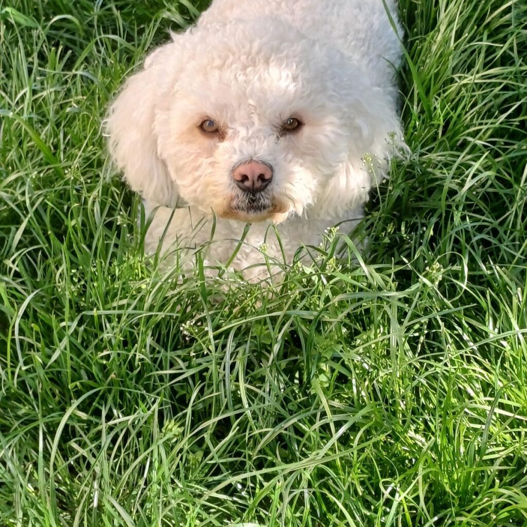 Kép #1 a Józsefné Fekete képből