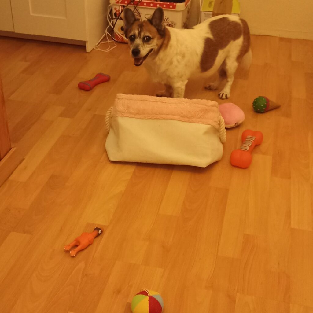 Kép #2 a Irén Vargáné képből