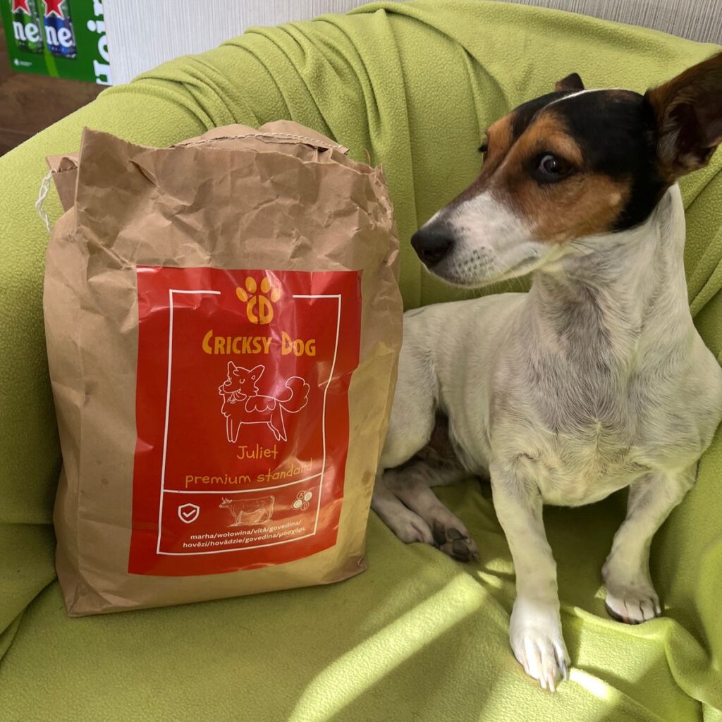 Kép #1 a Andrea Jónás képből