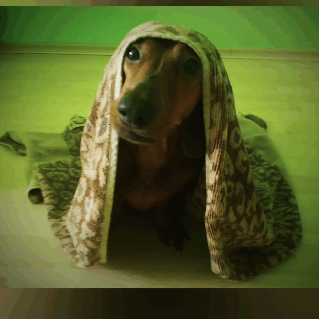 Kép #1 a Anita K. képből