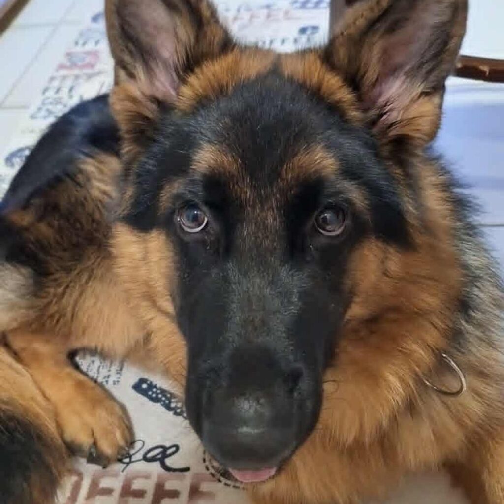 Kép #1 a Lászlóné Ábel képből