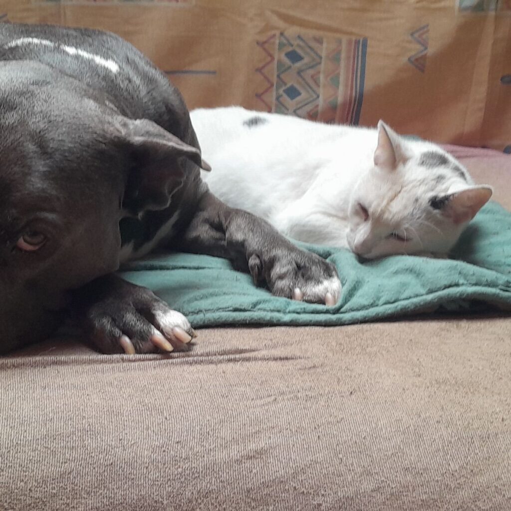 Kép #1 a Nagy Adrienne képből