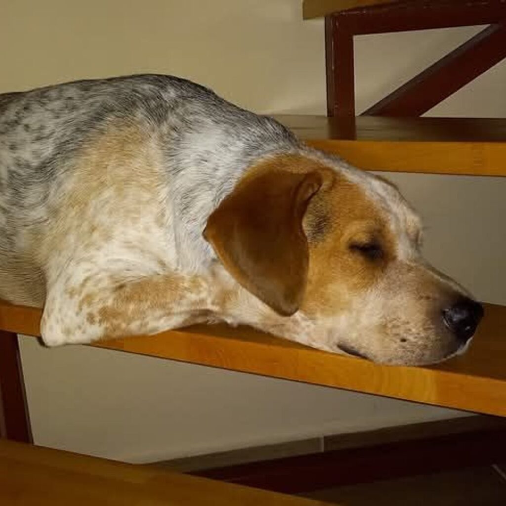 Kép #1 a Tamás Taksár képből