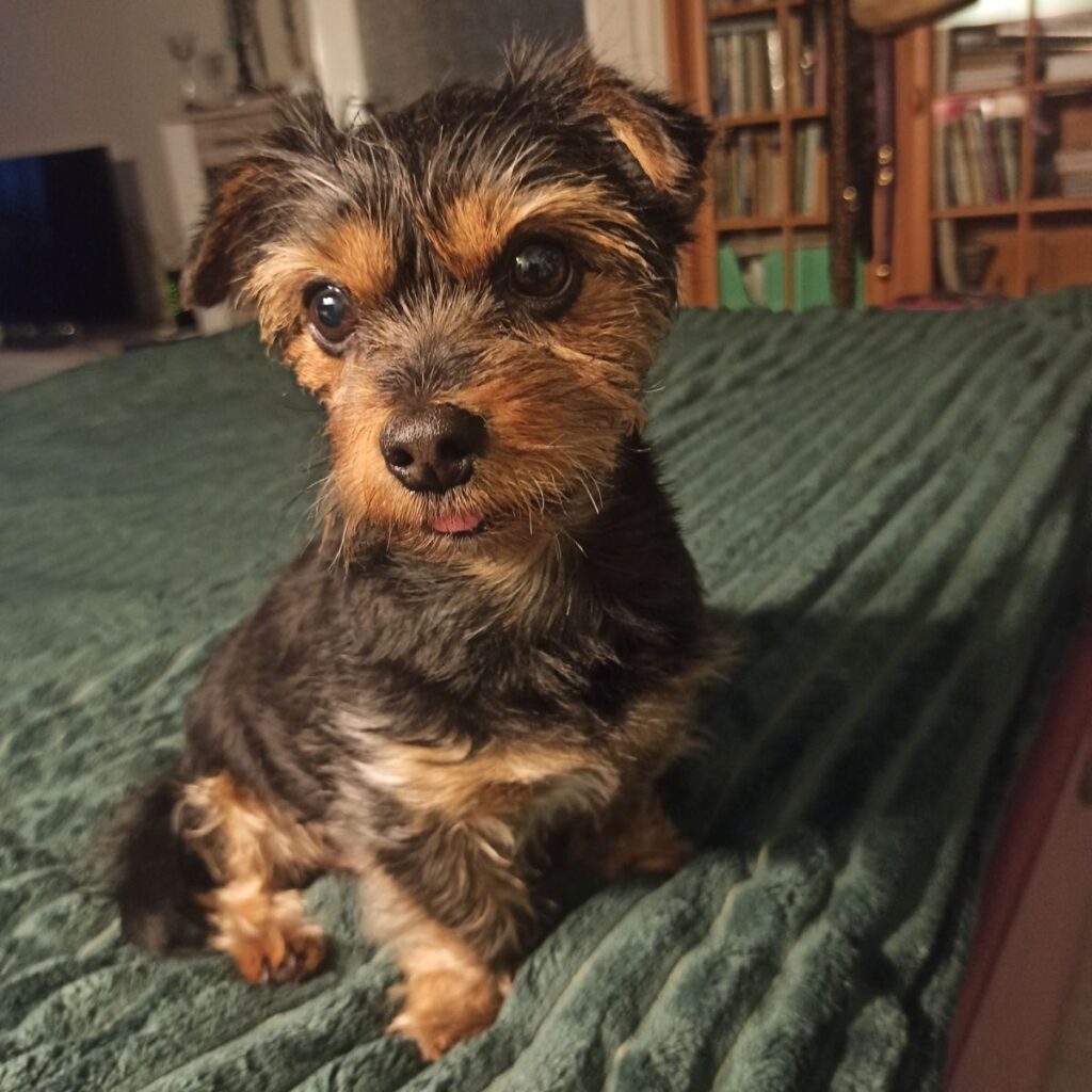 Kép #1 a Kati képből