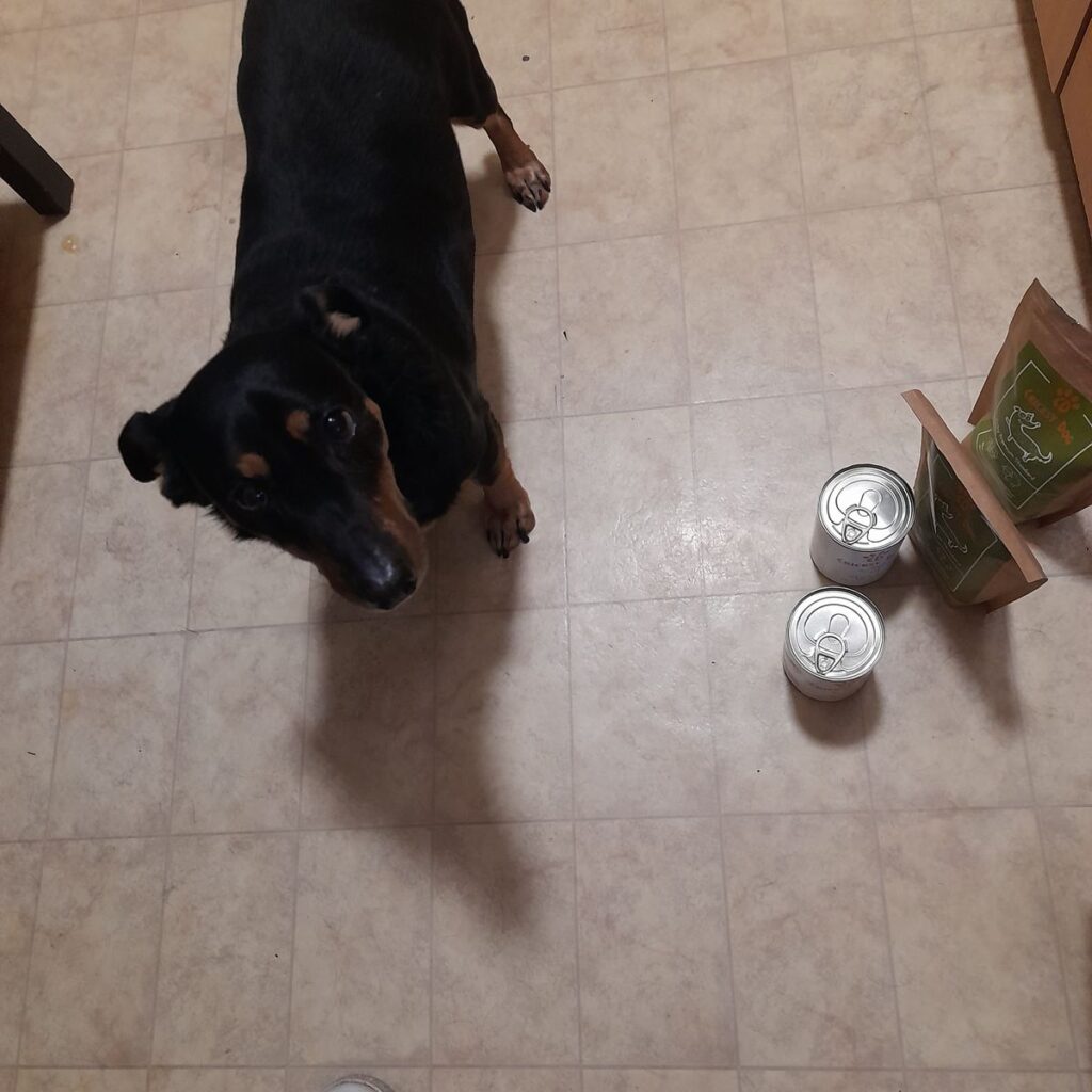 Kép #1 a Zsuzsa képből