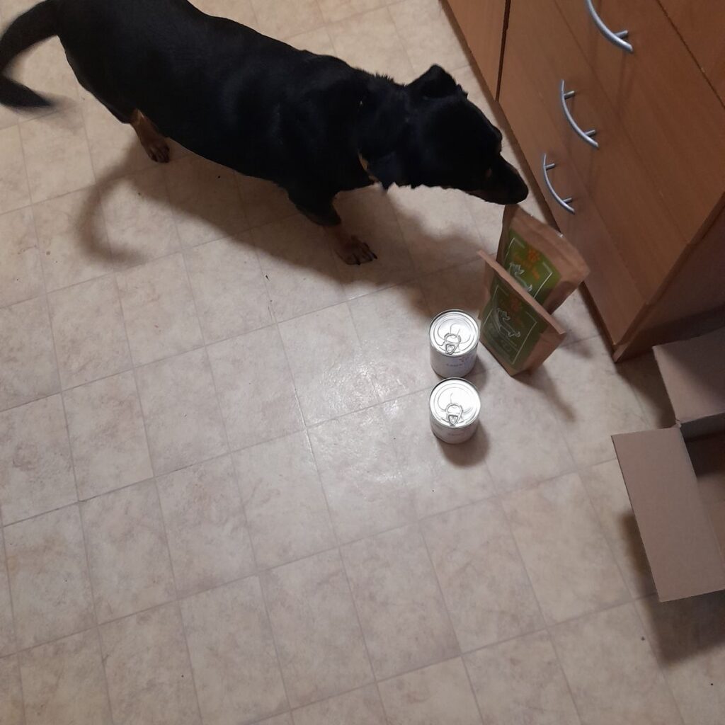 Kép #1 a Zsuzsa képből