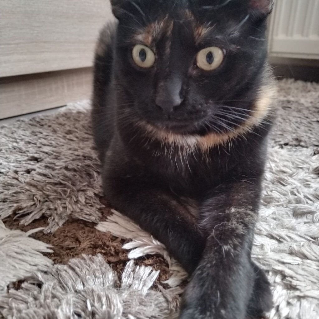 Kép #1 a Anita képből