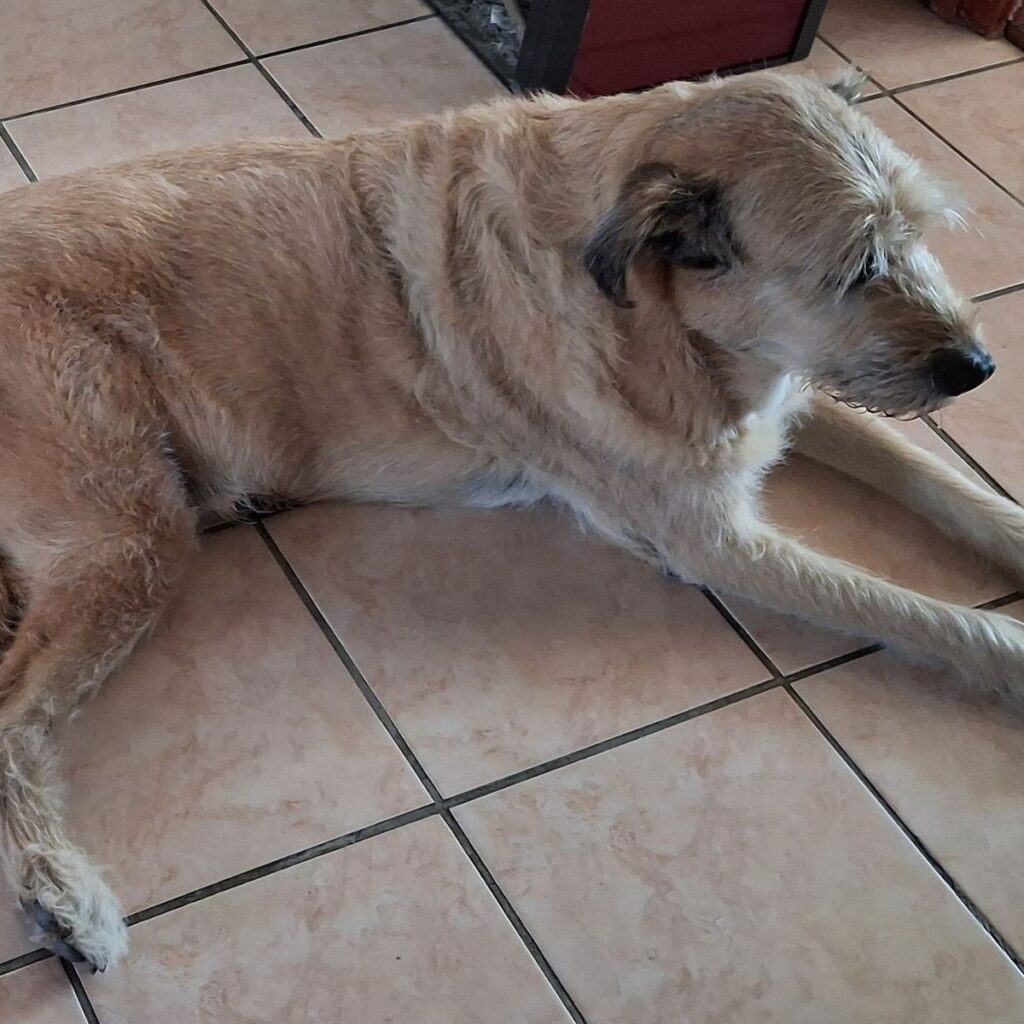 Kép #1 a Istvánné V. képből