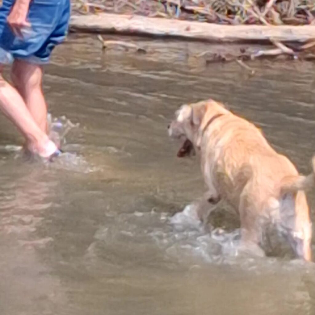 Kép #2 a Istvánné V. képből