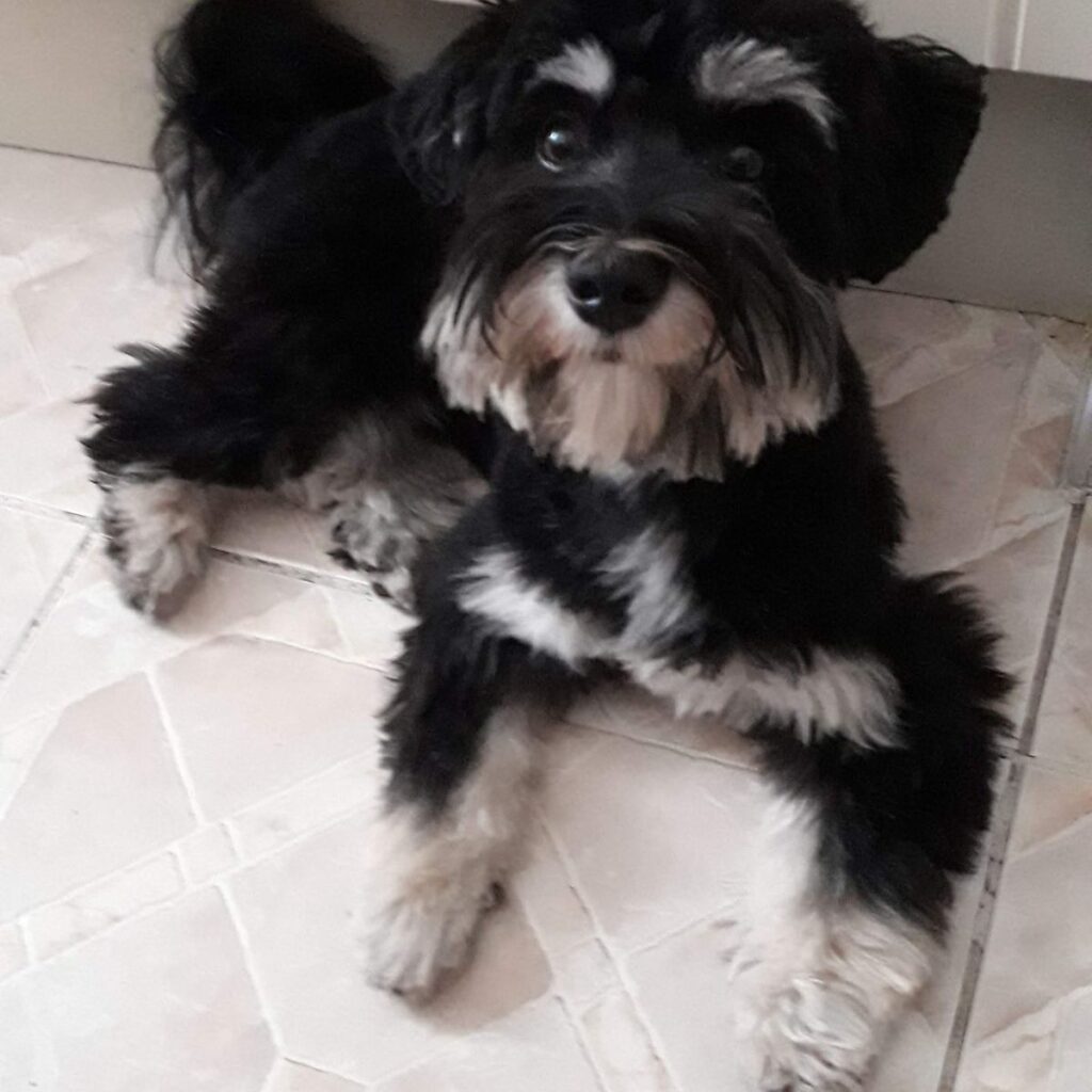 Kép #1 a Zsuzsa Hrubos képből