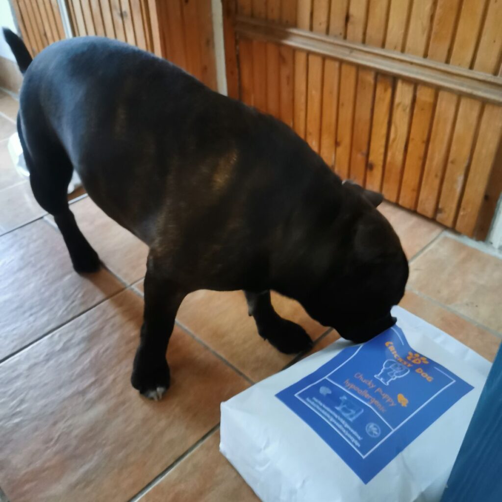 Kép #1 a Zoltán Csorba képből