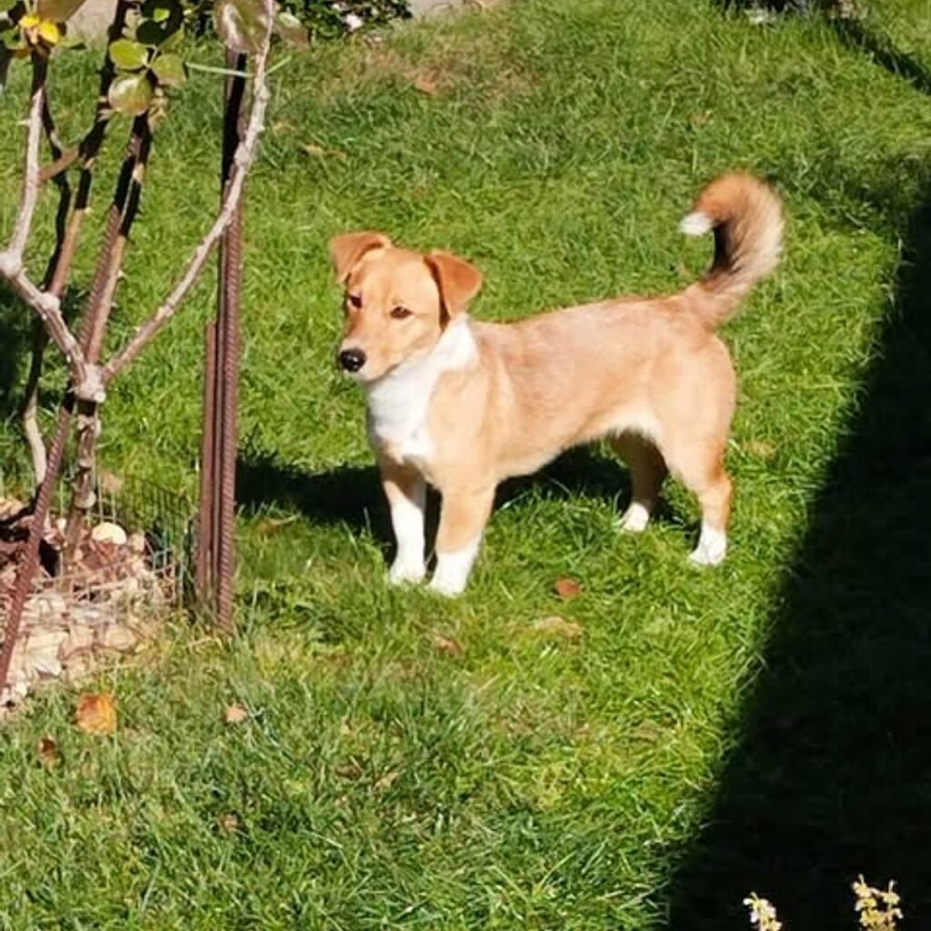 Kép #1 a Tamásné Ouliczki képből