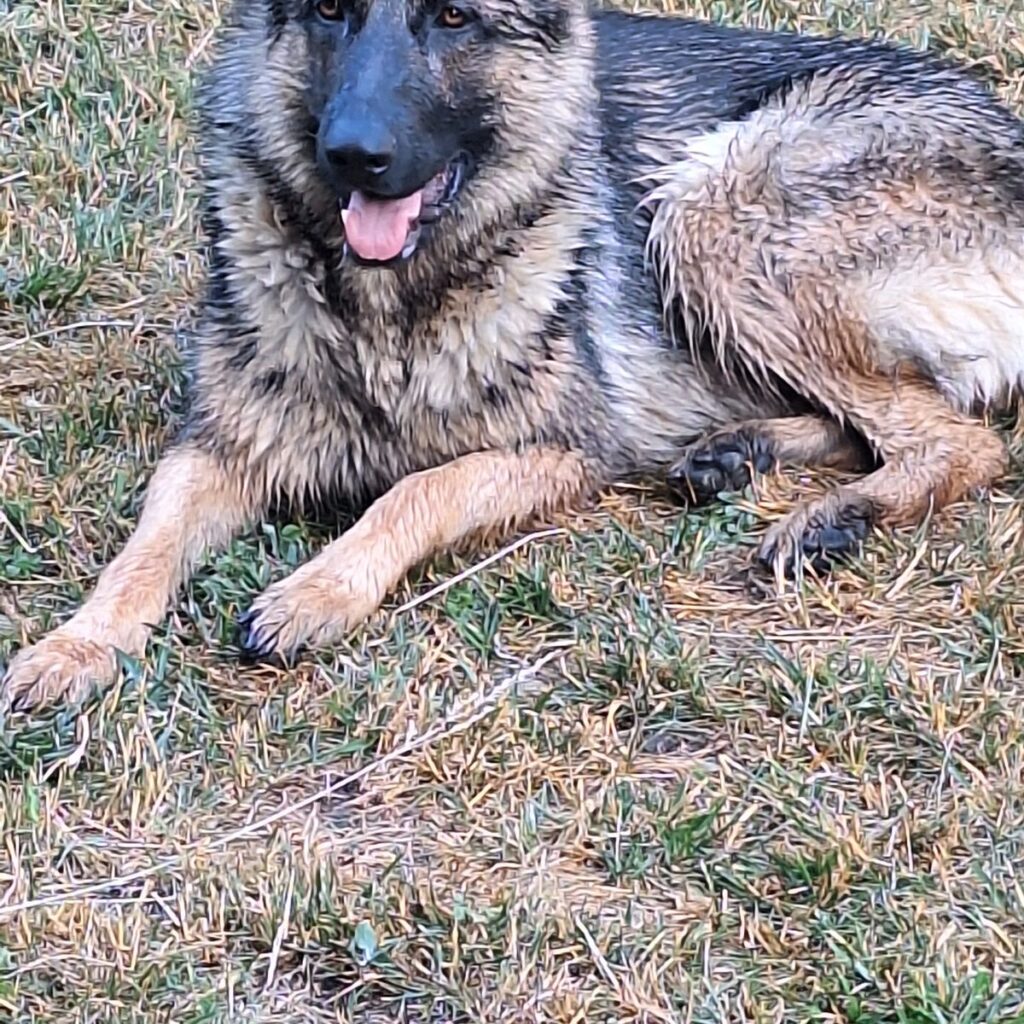 Kép #1 a József Nagy képből