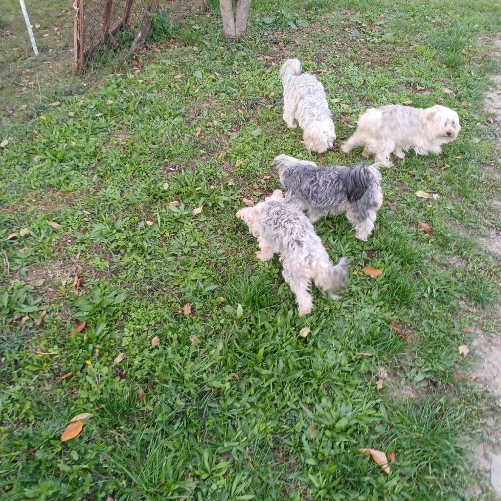 Kép #1 a János Bognár képből