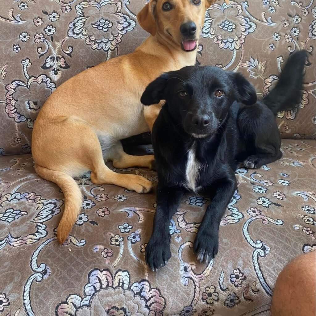 Kép #1 a Ildikó S. képből