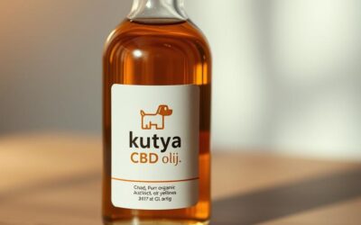 Kutyás blog 20 Kutya cbd olaj – Minden, amit tudnod kell róla!