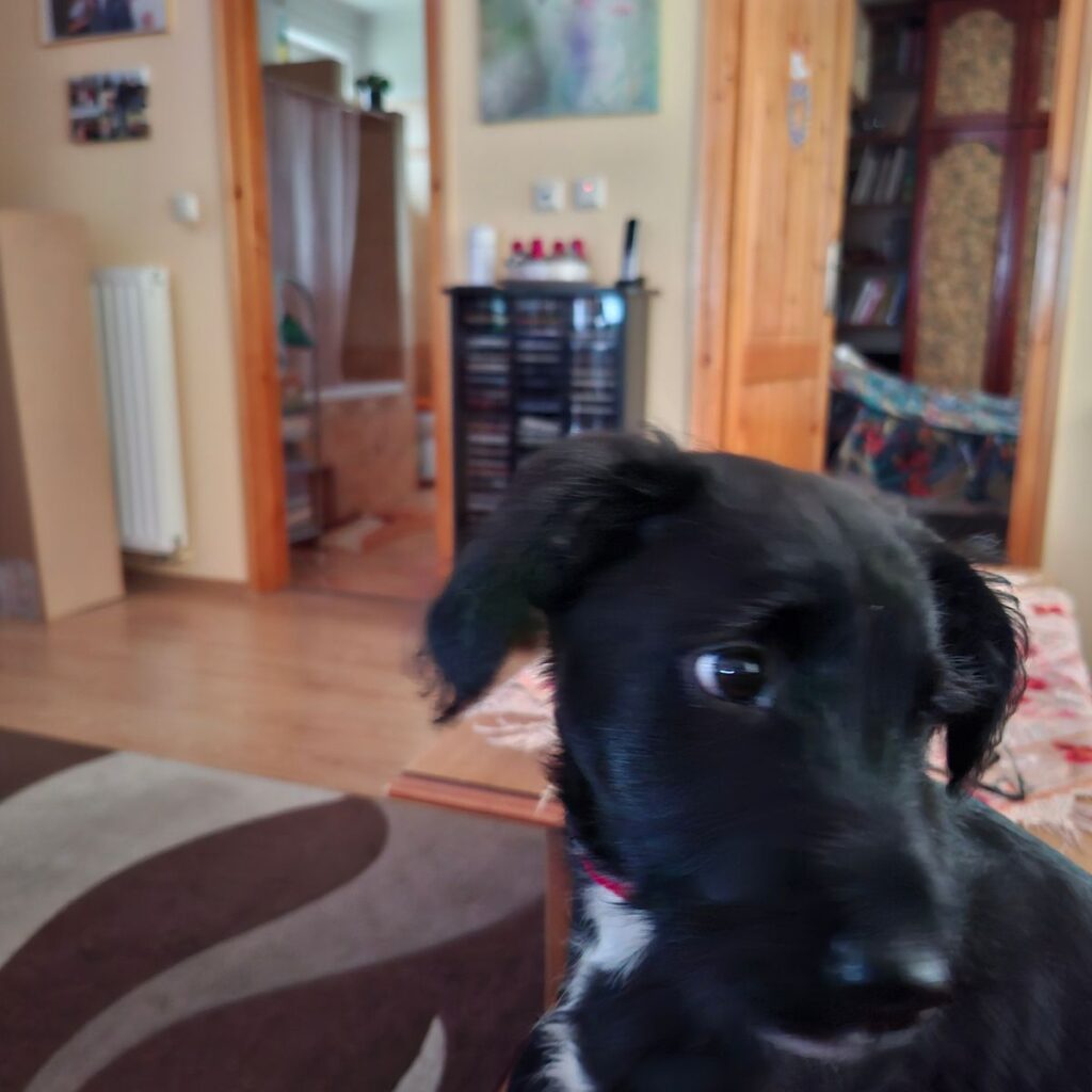 Kép #1 a Krisztina képből