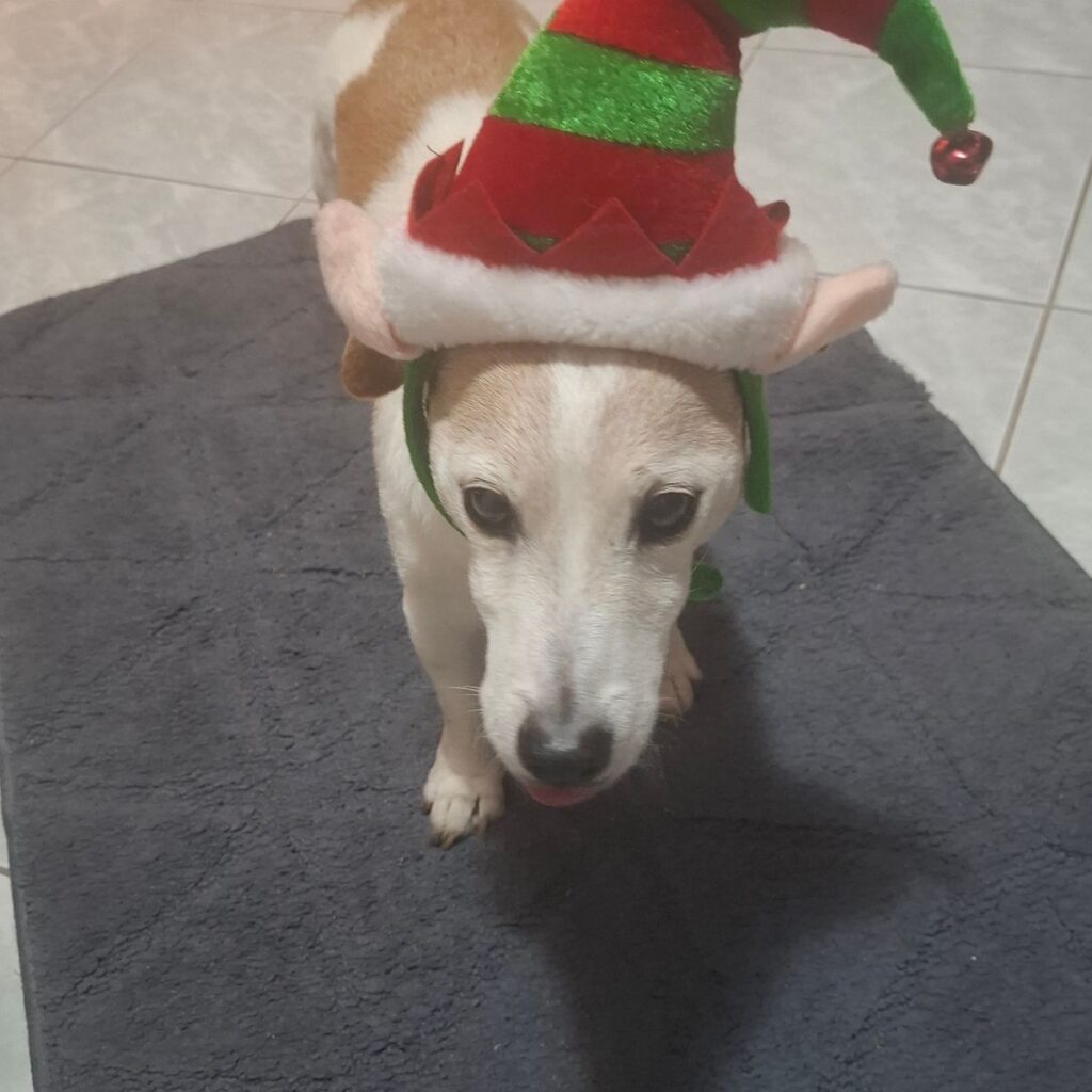 Kép #1 a Zsuzsanna Benczik képből