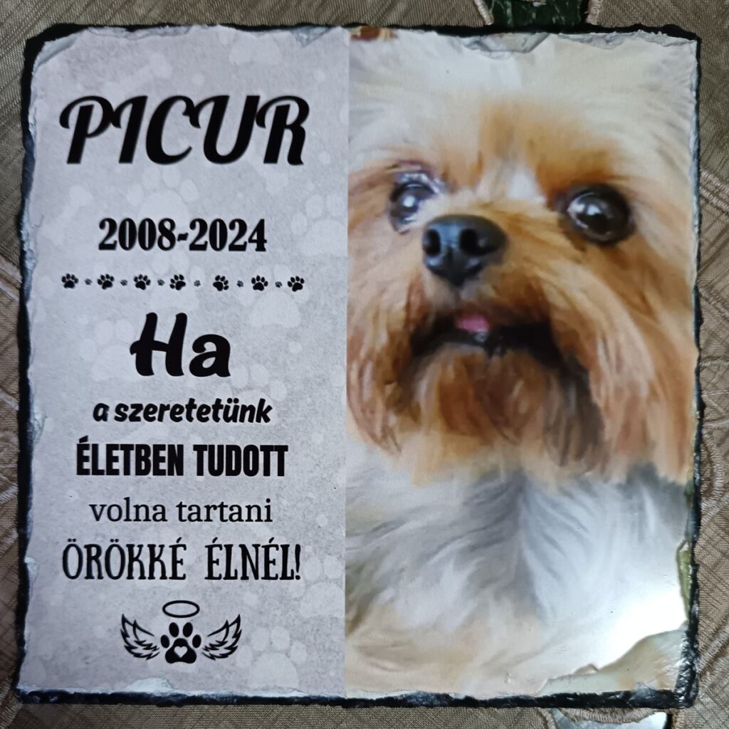 Kép #2 a Dávidné O. képből