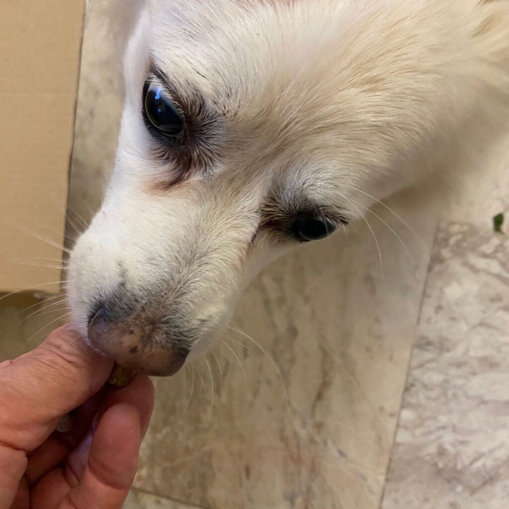 Kép #1 a Renata képből