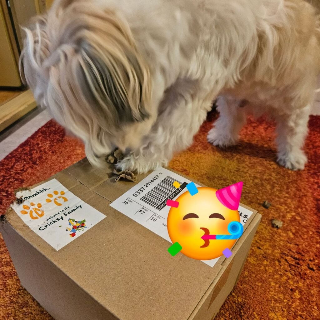 Kép #1 a Bujdosóné Kósa T. képből