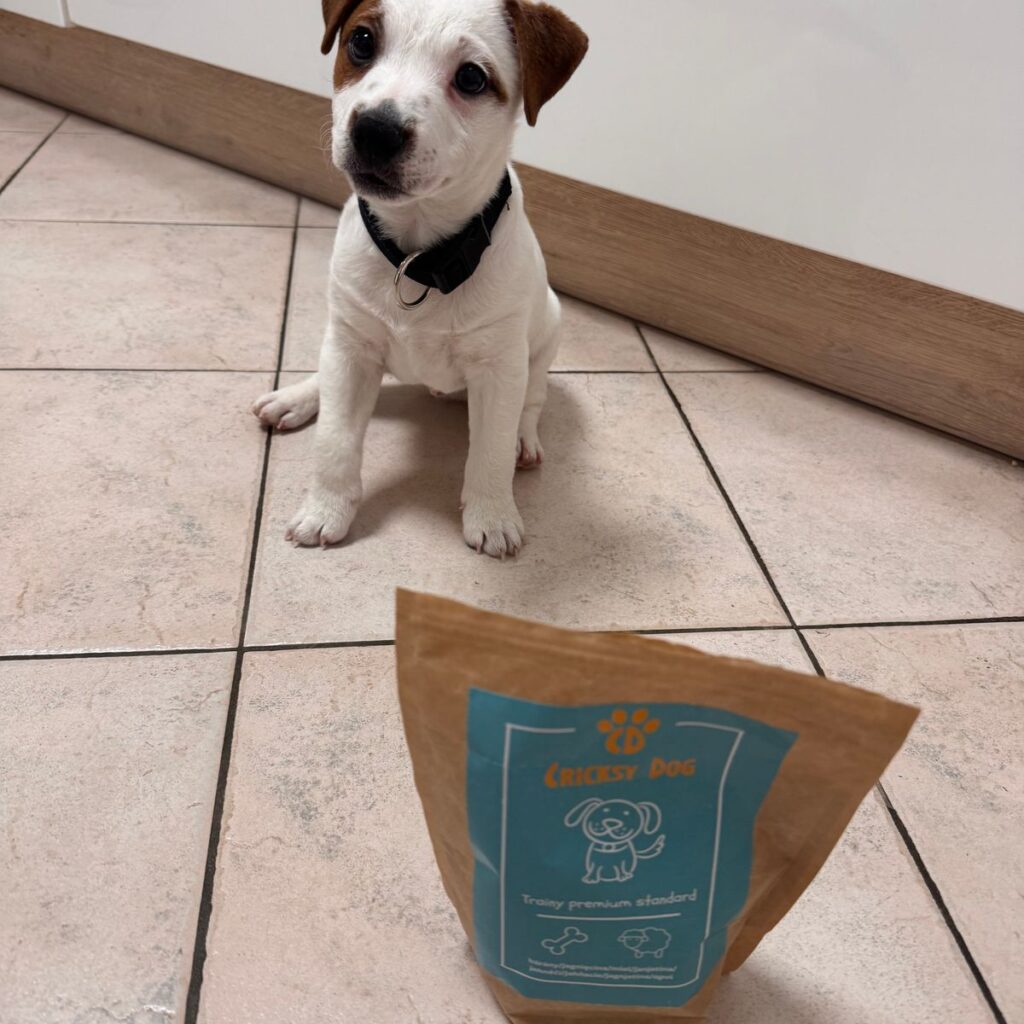 Kép #1 a Ildikó Rajna képből