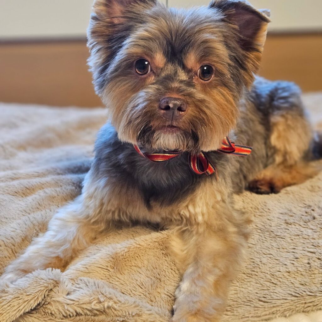 Kép #1 a Viktória képből